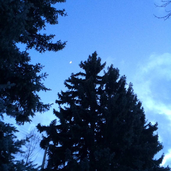 Meet your Posher, Samantha - Picture 1 of 1